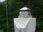 CH015 - Angled stainless steel chimney cap with hip roof - view 1
