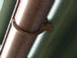 Copper gutter with under mount brass hanger