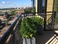 Dark patina zinc planters with flowers - view 2