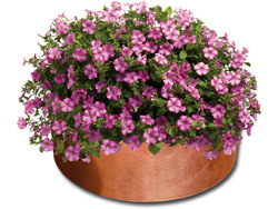 Round copper planter