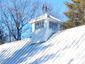 Birds weathervane on galvalume cupola - view 2