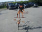 Copper squash player weathervane custom made - view 4